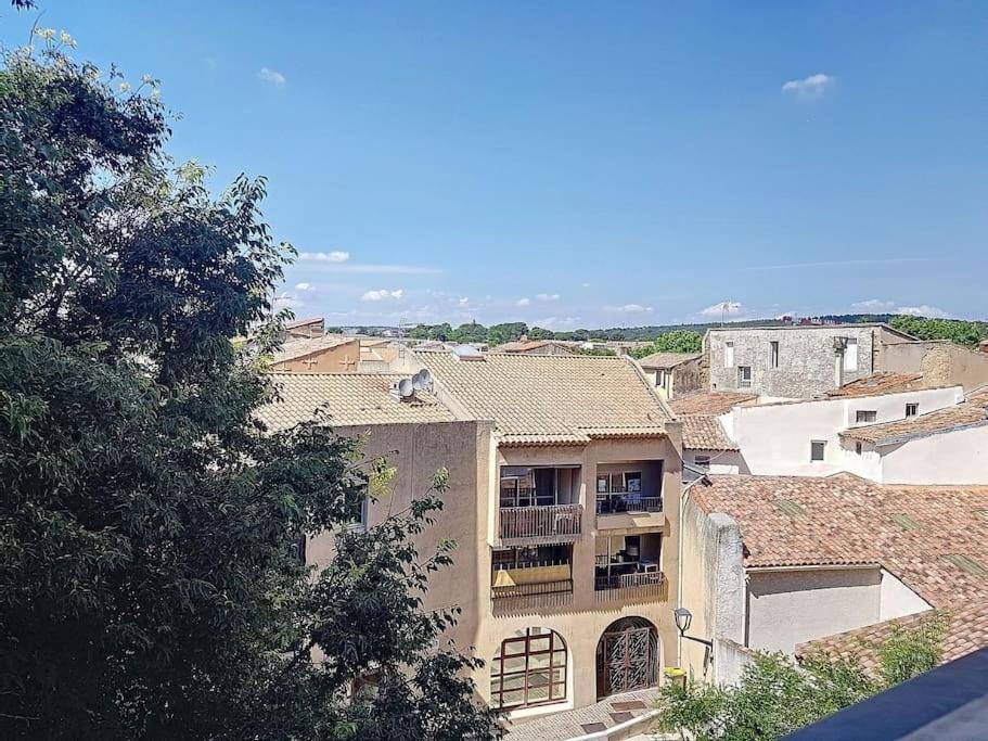 Plein Centre Ville Appartement سالو دو بروفونْسْ المظهر الخارجي الصورة